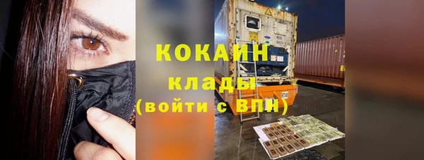 индика Аркадак