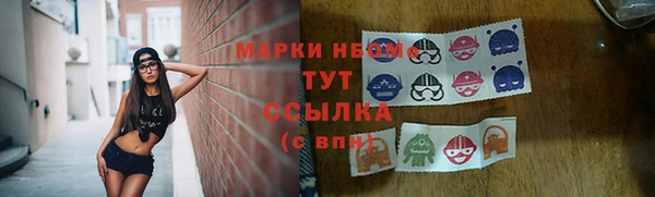 трава Сатка