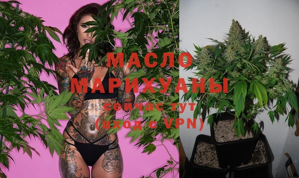 индика Аркадак