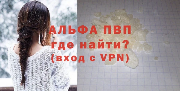 индика Аркадак