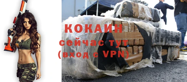 индика Аркадак