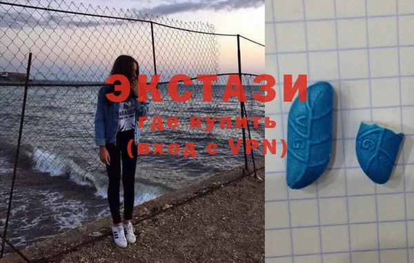 индика Аркадак