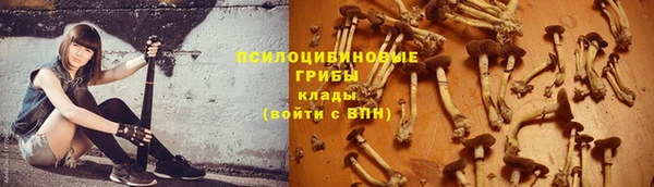индика Аркадак