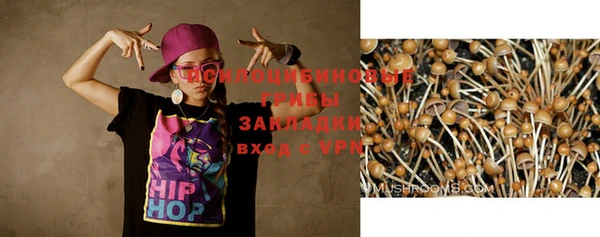 индика Аркадак