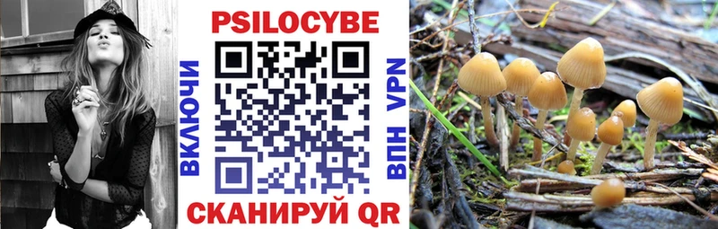 Галлюциногенные грибы Psilocybe  KRAKEN сайт  Талдом 
